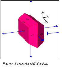 Forma di crescita dell'alanina